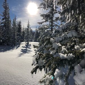 Meet your Posher, Terri